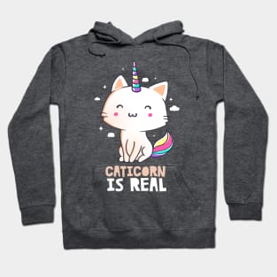 Caticorn Is Real Funny Cute Gift Hoodie